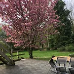Hotel Domaine Des Celestins Bernay-en-Ponthieu