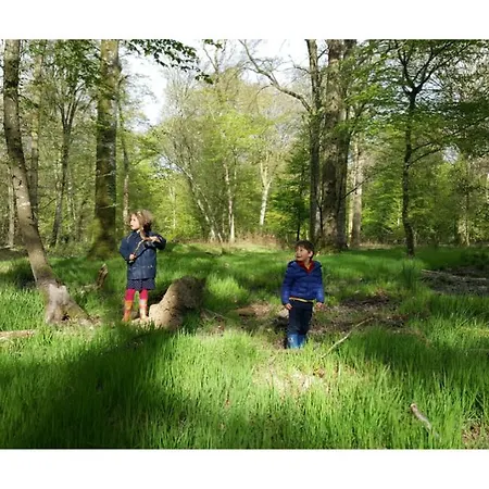 Domaine Des Celestins * Bernay-en-Ponthieu