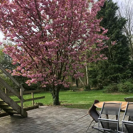 Otel Domaine Des Celestins Bernay-en-Ponthieu