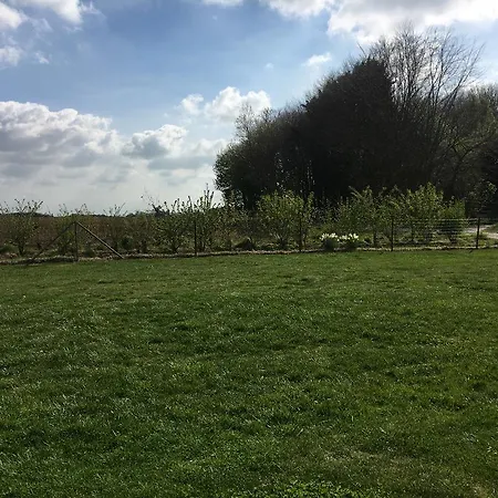 Domaine Des Celestins *