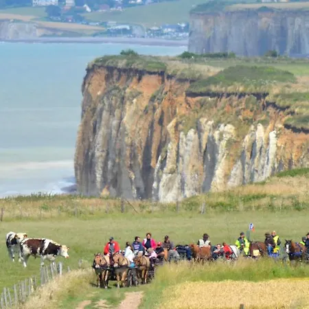 Domaine Des Celestins *