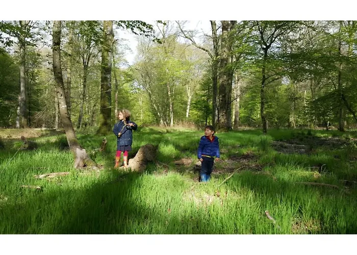Domaine Des Celestins * Bernay-en-Ponthieu