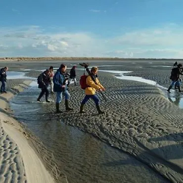 Domaine Des Celestins *